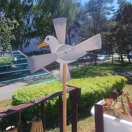 Cicha Czapla * Ustka